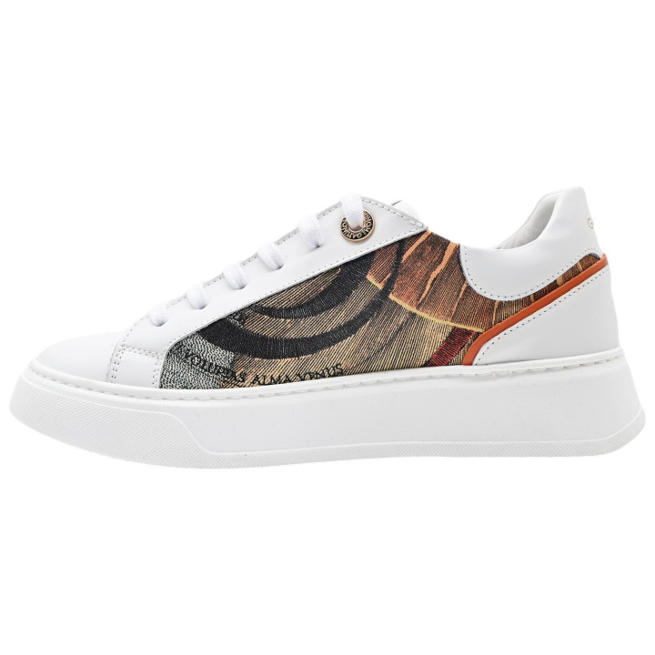 GATTINONI SCARPE BASSE - GAED250000109